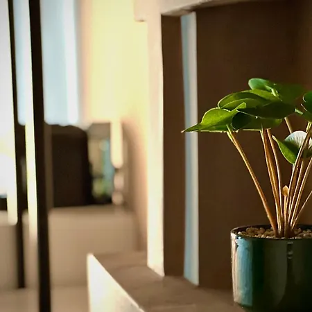 Rex Boutique * Tirana