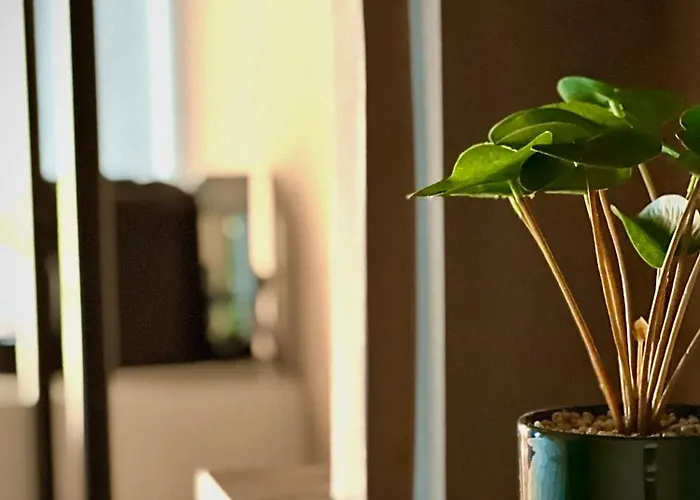 Rex Boutique * Tirana